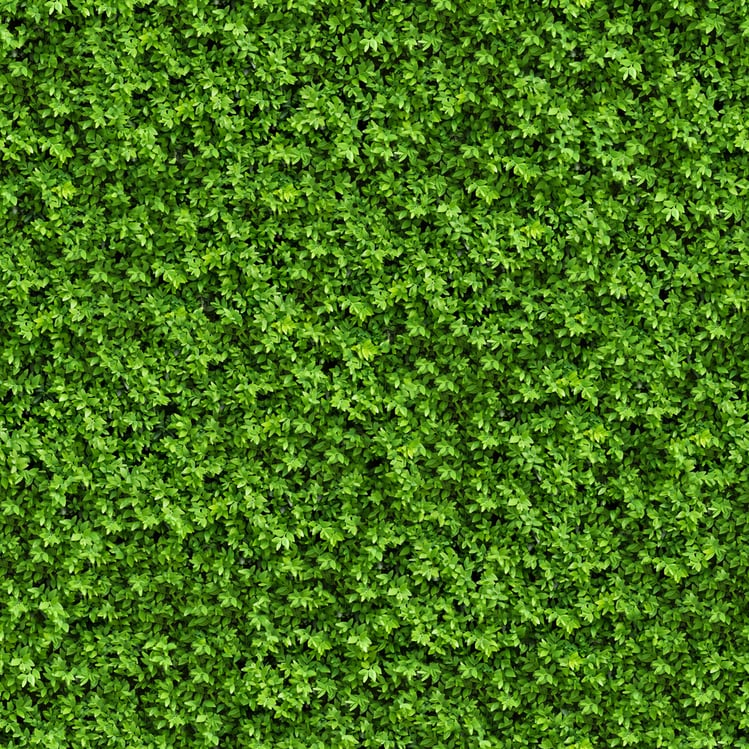 Green Bush. Seamless Tileable Texture.