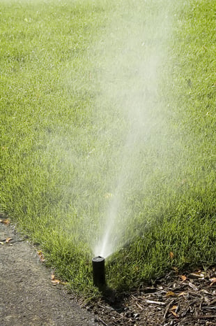Automatic sprinkler misting corner of green lawn